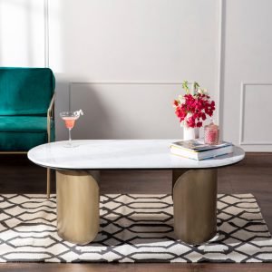Lavina Marble and Metal Coffee Table with a natural marble top and sleek metal base
